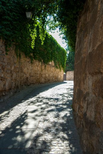 A vertical shot of a small passage in an Old Medieval Alley covered with nature in Zamora , Spain