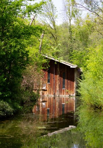 A vertical shot of abandoned wooden house surrounded by trees near water