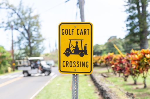 A Golf Cart Crossing sign with a golf cart crossing the road in the background.