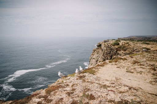 A horizontal shot of a huge cliff on a beach with a few white seagulls
