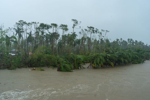 A beautiful shot of a river surrounded by palm trees