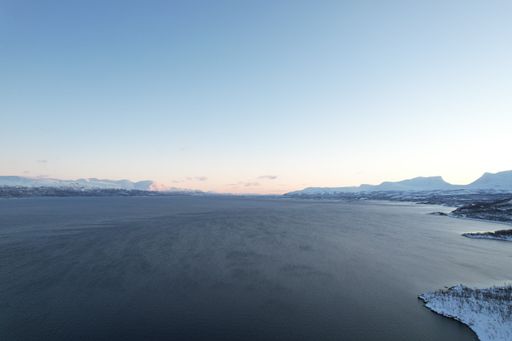 An areal view of a shore near forest all covered by snow