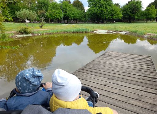 A high angle shot of two babies in a stroller on a lake dock