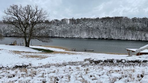 A beautiful landscape view of a leafless tree on lakeshore with a snowy forest in the other bank against cloudy sky during daytime, Hessen, Germany