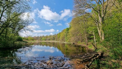A beautiful landscape of a lake with calm waters that reflect the background of trees and clouds