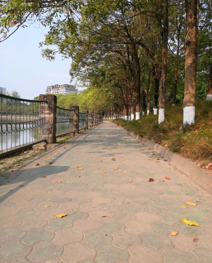 A vertical shot of a path in the park on the lakeshore