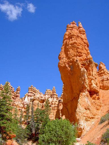 The Grand Canyon National Park in Arizona, the USA