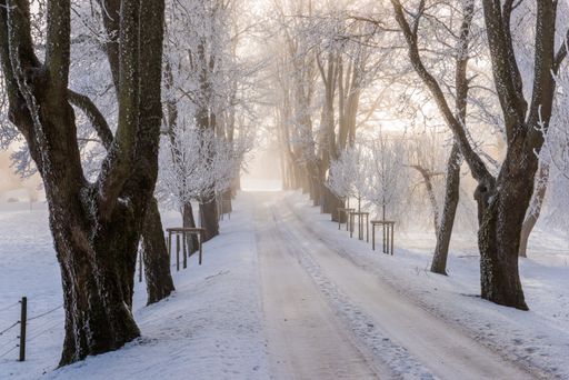 A beautiful shot of a a narrow road covered with snow