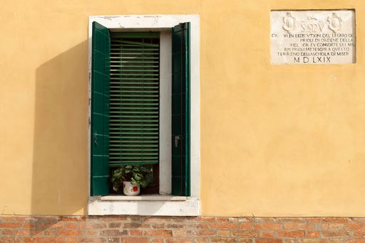 A potted plant on a windowsill and green window shutters