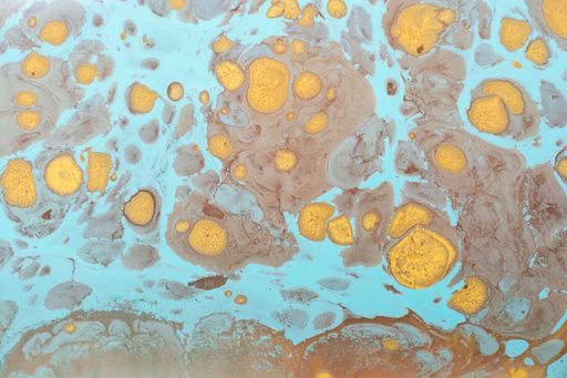 An abstract background of mixed colorful paints in different shapes