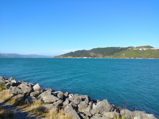 A mesmerizing view of Makara Beach in Wellington, New Zealand