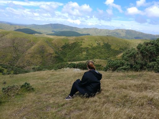 A back view of a young female sitting on the grass admiring the nature