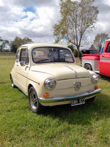 Old beige Fiat 600 sedan two door unibody late 1960s in the countryside. Nature, grass, trees. Front view. Grill. Classic car show. Copyspace