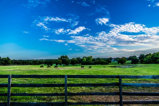 A beautiful shot of a green meadow with horses grazing behind wooden fence