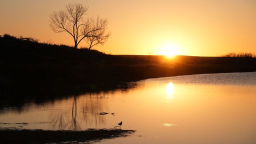 A beautiful sunset by the lake with silhouette of trees and hill