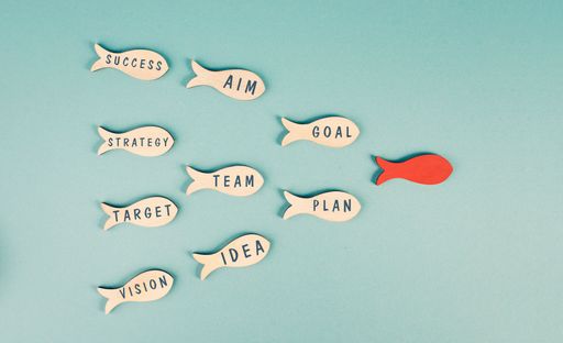 Red fish is the leader of the group, working as a team for new ideas, goals, making plans and strategies for success, teamwork concept