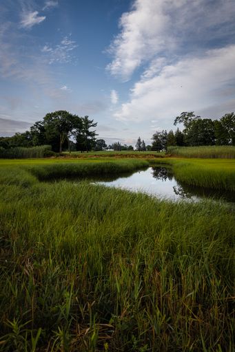 A vertical shot of a Golf course in Rhode Island and a small Pond between green grass and a blue cloudy sky