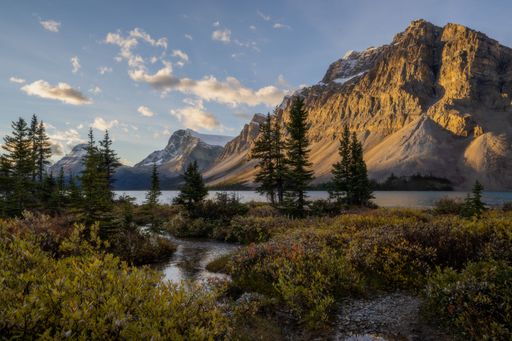 A beautiful view of pine trees on grassland on river water against mountains and a cloudy blue sky
