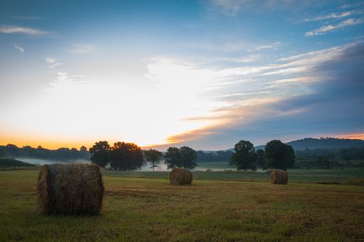 A green grassy field with a lot of hays at sunset in Sussex County, NJ