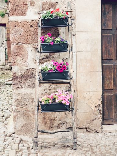 A vertical shot of beautiful flowers in flowerpots on wooden steps