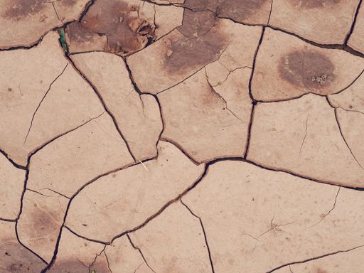 A closeup shot of cracked coil ground - great for a cool background