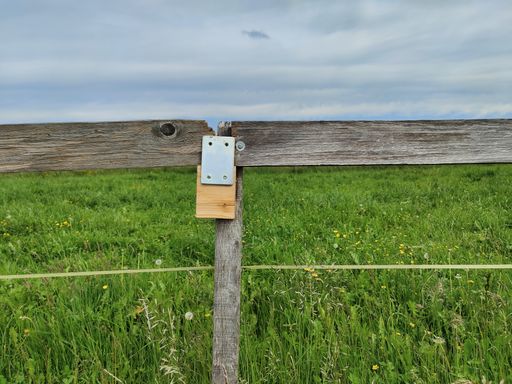 A closeup of a wooden fence in a field covered in greenery under a cloudy sky