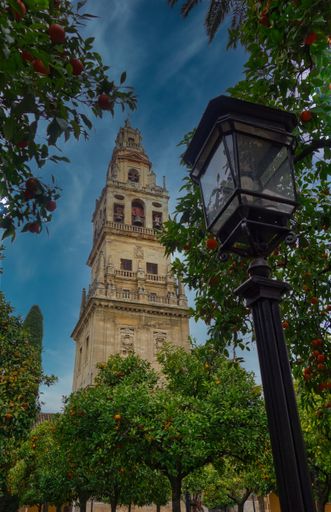 Orange trees and lantern in front of the Bell Tower, The Great Mosque, Cordoba, Spain