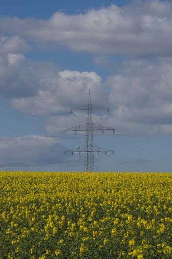 Agricultural landscape with flowering rape field in front of a high-voltage pylon. Yellow against a blue-white sky. Energy plant and energy transport.