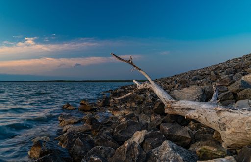 A broken wooden branch on a rocky coast