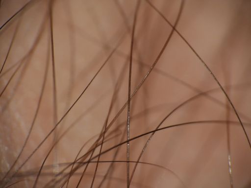A closeup shot of small lines in a patterned shape on a brown background