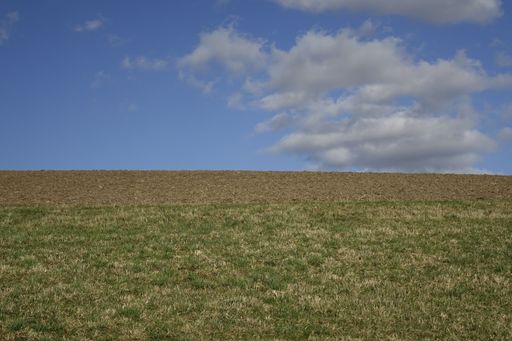 Steep hill with green meadow and ploughed field, blue Siegerland winter sky, low angle view, Ruckersfeld, NRW, Germany