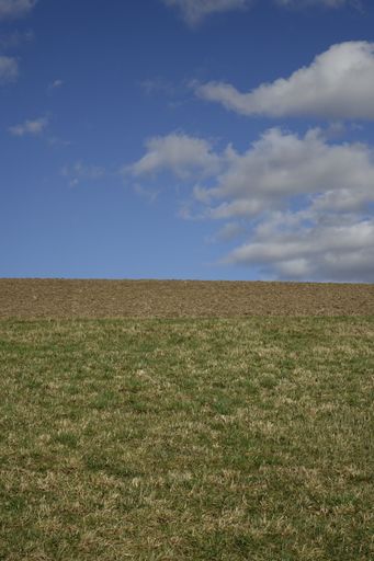 Steep hill with green meadow and ploughed field, blue Siegerland winter sky, low angle view, Ruckersfeld, NRW, Germany