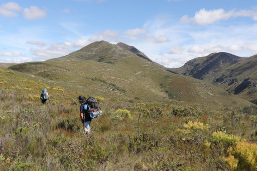 Two hikers climbing Strydomsberg mountain in the Groendal nature reserve near Uitenhage, South Africa.