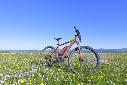 A low angle shot of a bicycle in the middle of a grass-covered field full of beautiful flowers