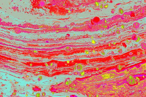 A beautiful oily painting with mixed colors - perfect for abstract art concepts