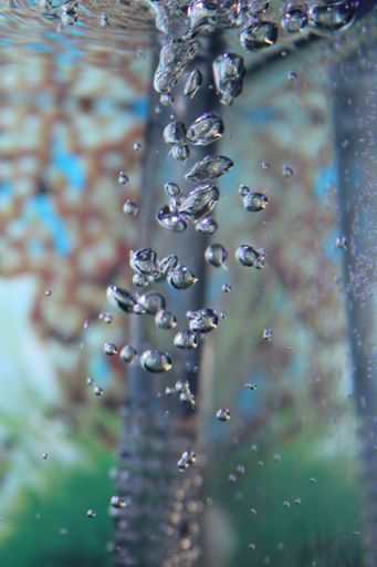 A closeup of water bubbles from the aquarium filter