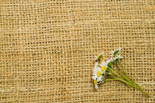 A top view of daisy flowers on hessian with copy space