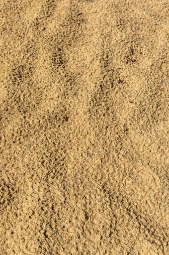 A vertical shot of a brown sandy surface