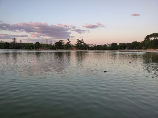 A beautiful scenery of a lake surrounded by trees under a sunset sky