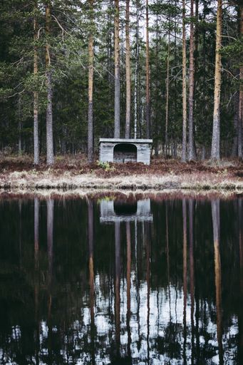 A vertical shot of a small Cabin reflected in the water in a forest