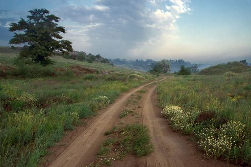 A scenic view of a pathway surrounded by green grass and trees  under a blue cloudy sky