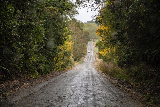 The countryside road passing through the green trees