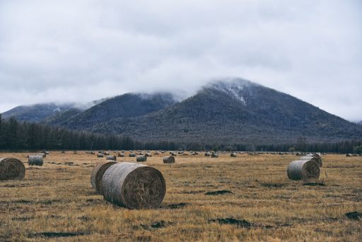 A landscape of haystacks in the field with mountains on the background