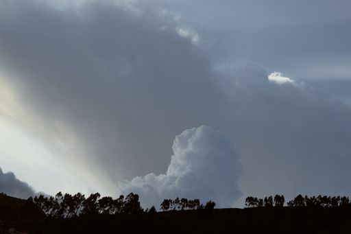 The trees on the hills under the fluffy cloudy sky
