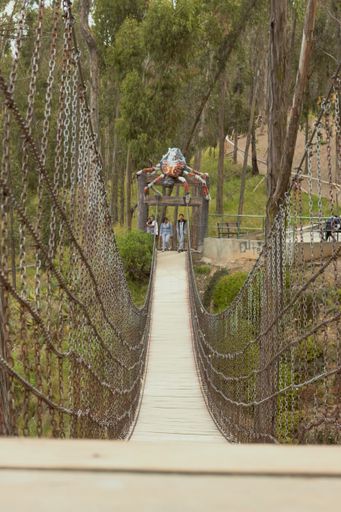 The people walking on the wooden long bridge in the park