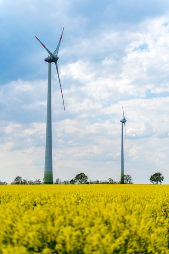 Vertical shot of wind turbines against a cloudy sky standing on a rape field.