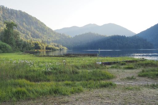 Lake Weitsee natural reserve at the three lakes area near Ruhpolding in evening light, bavarian alps