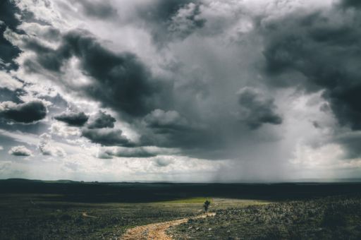 A breathtaking view of dark cloud formations and a pathway in the green field - great for a beautiful background