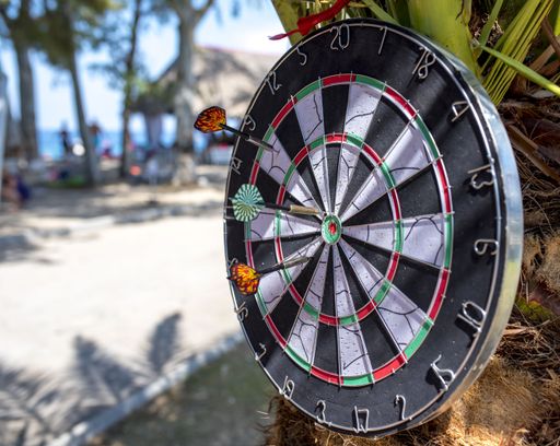 A closeup shot of darts on a palm tree in the beach