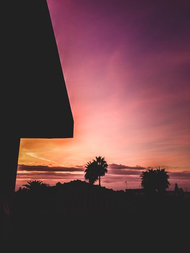 A vertical silhouette shot of beautiful palm trees under the breathtaking colorful sky